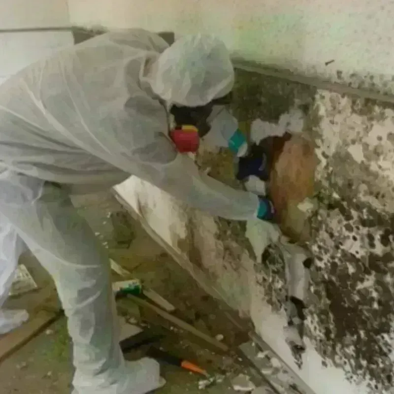 Mold Remediation and Removal in East Pepperell, MA